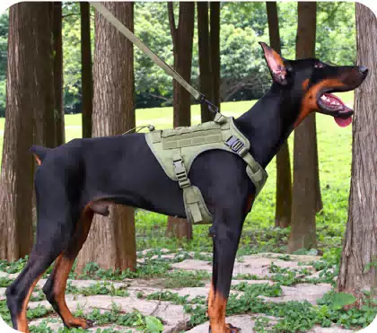 Tactical H-Style No-Pull Dog Harness