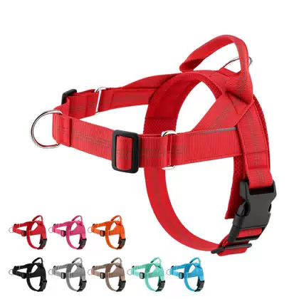 Easy-Fit Lightweight No-Pull Dog Harness