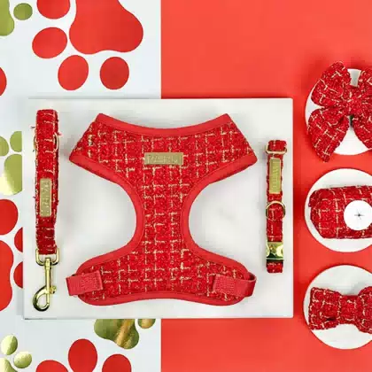 Quick Drying Luxury Red Textured Polyester Dog Harness Set with Neck Adjustable, Pet Leash, Collar, Bow and Poop Bag Holder