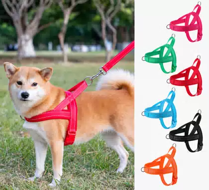 Easywalk Mesh Dog Harness and Leash