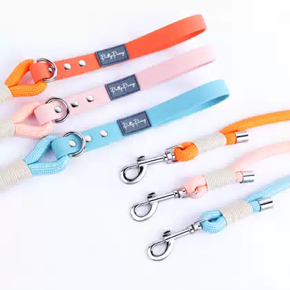 Manufacturer Waterproof Slip Lead Show Customized Nylon Rope Dog Leashes