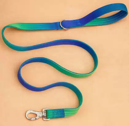 Custom Fashion Color Gradient Tactical Pet Lead Cotton Soft Handle Correa Modern Double Thick Padded Dog Leash with Metal Buckle