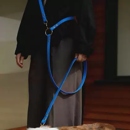 Custom Logo Color Walking Belt Hands Free Pvc Blue Dog Leash with Metal Ring for Hanging Waist Pouch and Waist Lead