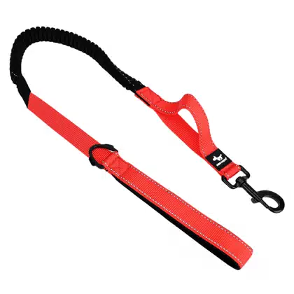 New Happy Custom Reflective Tangle-Free Shock-Absorbing Dual-Handle Solid Polyester Heavy Duty Bungee Dog Leash Neoprene Comfort