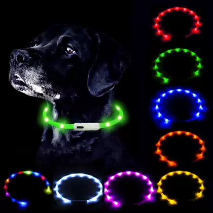 USB Rechargeable LED Light-Up Dog Collar