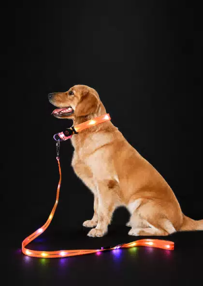 USB Rechargeable LED Dog Collar & Leash Set