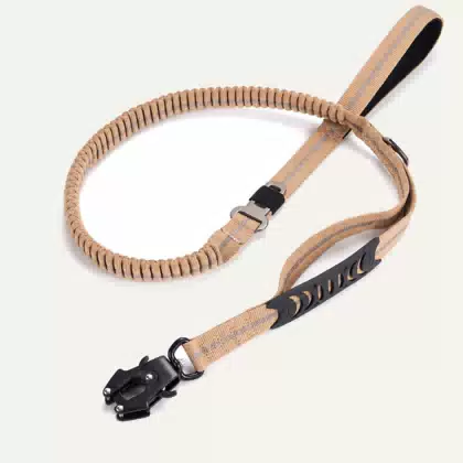 Reflective Shock-Absorbing Dog Leash with Frog Clip