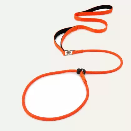 Adjustable Reflective Slip-Lead Dog Leash