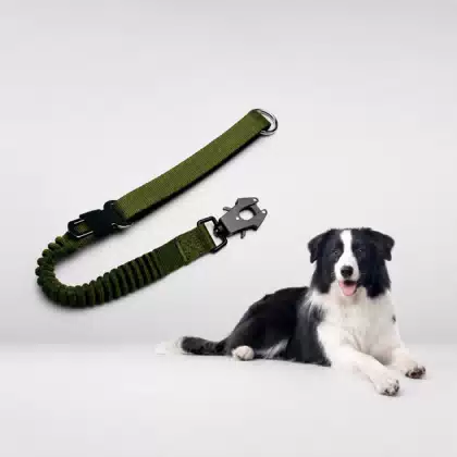 Short Elastic Dog Leash with Frog Clip