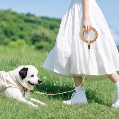 Soft Loop-Handle Dog Leash