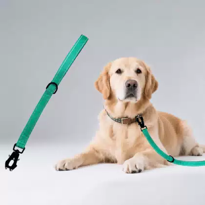 Short Retractable Training Leash with Frog Clip