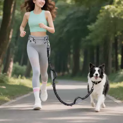 Reflective Hands-Free Running Leash with Waist Pack