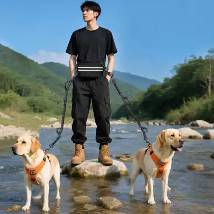Dual-Dog Elastic Leash with Waist Pack