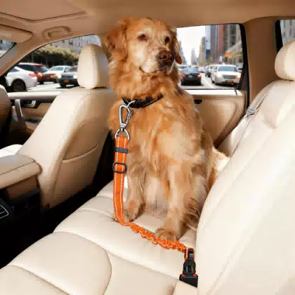Adjustable Elastic Pet Car Safety Leash