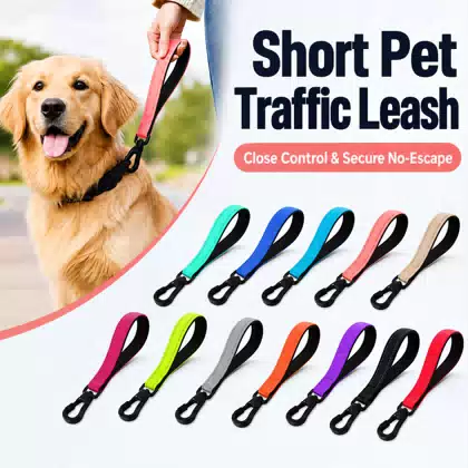 Short Nylon Dog Training Leash