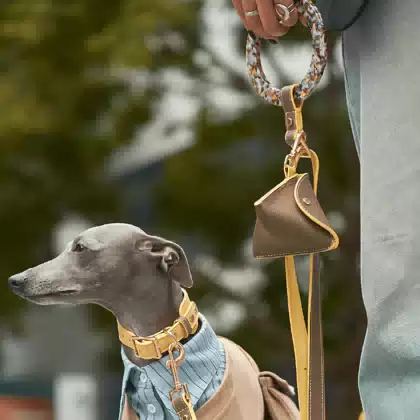 PU Leather Dog Leash with Ring Handle
