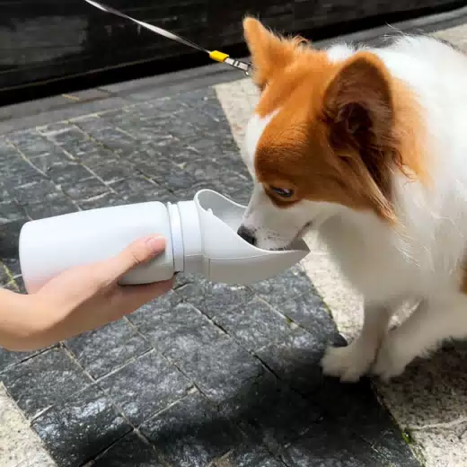 Large-Capacity Foldable Dog Water Bottle