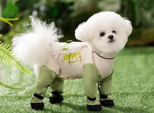 Full-Cover Splash-Guard Dog Raincoat