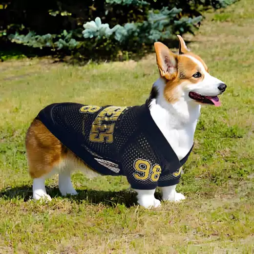 Breathable Mesh Cooling Pet T-Shirt