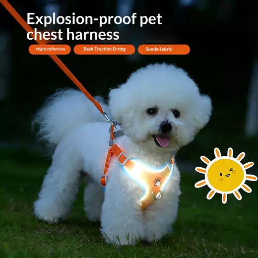 Reflective No-Pull Adjustable Dog Leash