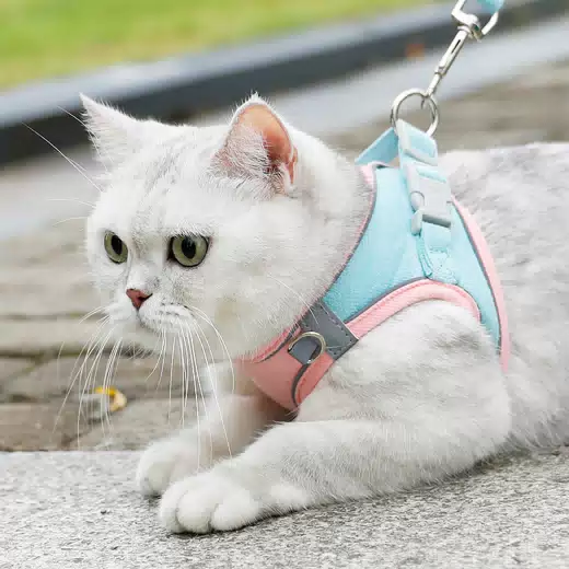 Breathable Reflective Small Dog Harness Set