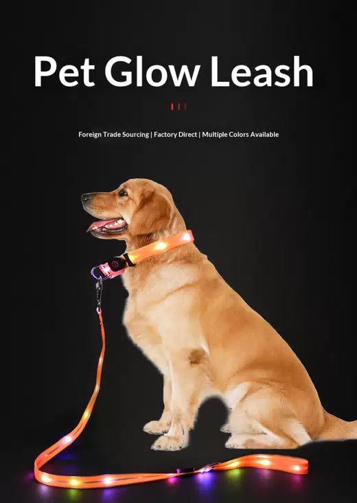 USB Rechargeable LED Dog Collar & Leash Set