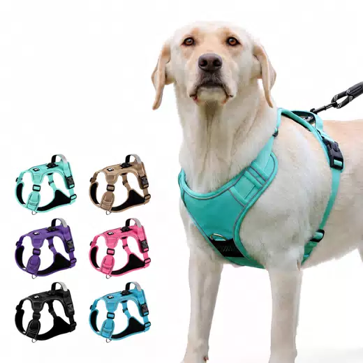 AirTag-Compatible Tactical Dog Harness & Leash