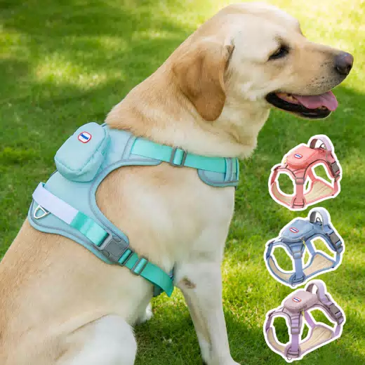Wide Reflective Tactical Dog Harness & Leash Set