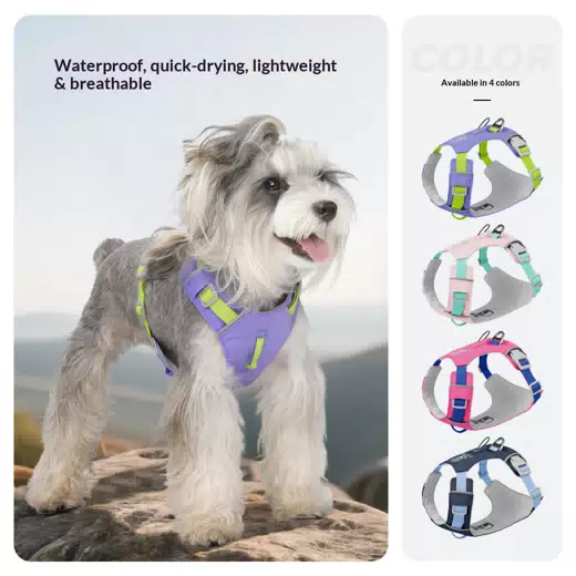 Waterproof AirTag-Ready Outdoor Dog Harness
