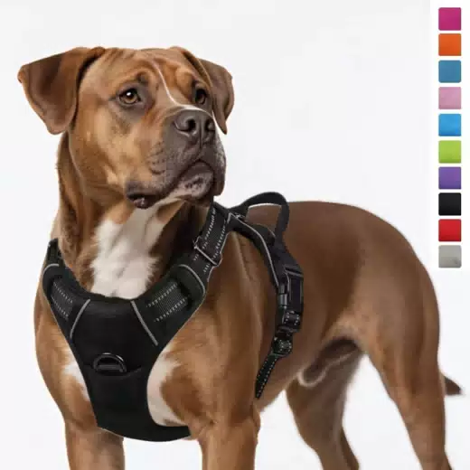Multi-Layer No-Pull Dog Harness & Leash Set
