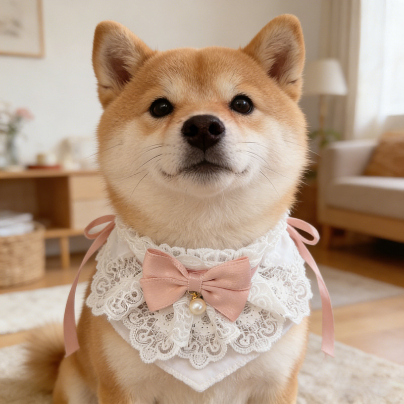 French Vintage Lace Pearl Pet Bib