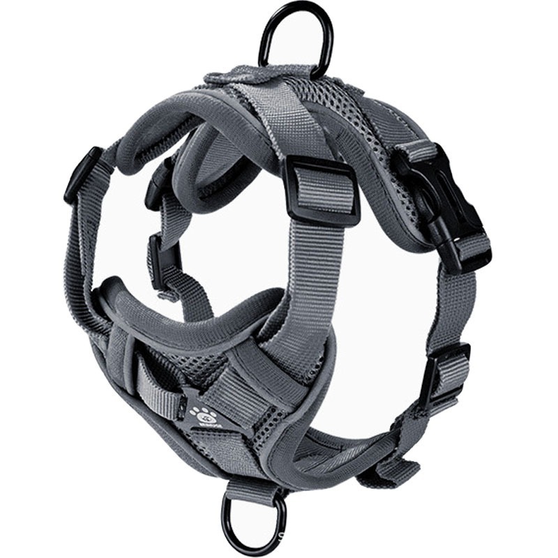 Escape-Proof Small Dog Vest Harness & Leash